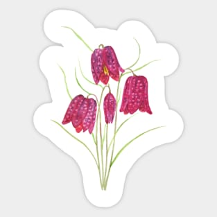 red snake's head fritillary watercolor Sticker